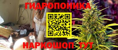 гидра Дубна