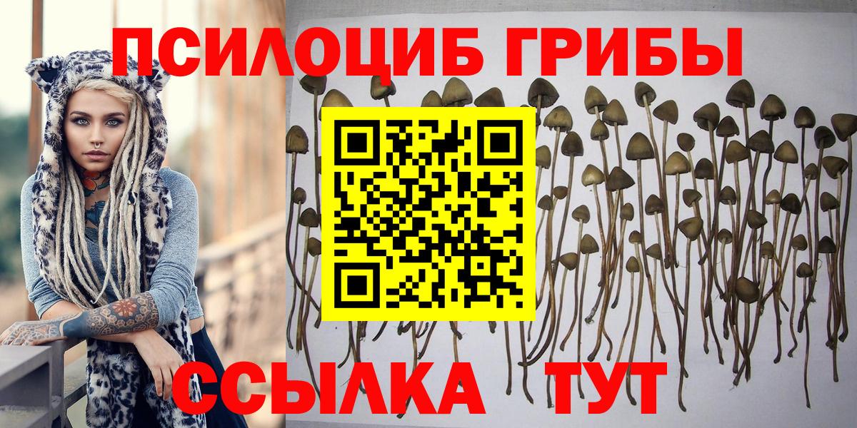 Псилоцибиновые грибы мицелий Заинск